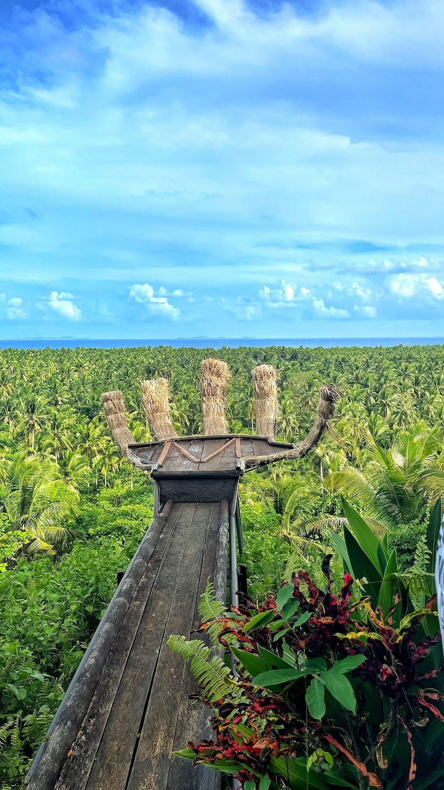 PUNGKAY VIEW