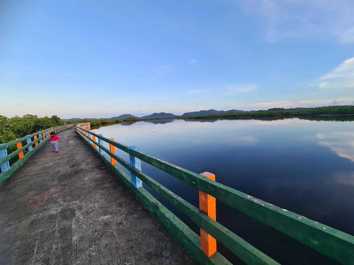 Numancia Mangrove Boardwalk