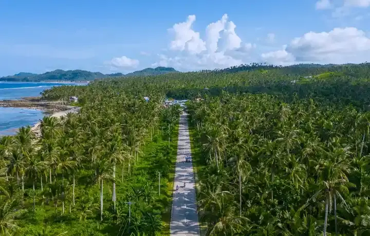 Coconut Road & North Coast