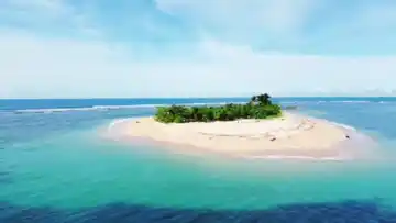 San Benito Four-Island Private Tour